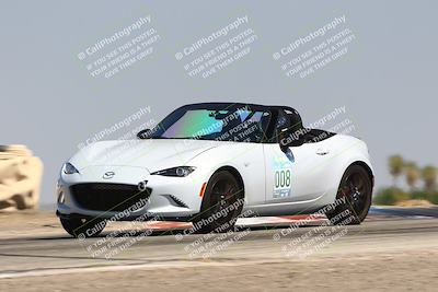 media/Jul-26-2025-Speed Ventures (Sat) [[fe569e6cf0]]/Purple Group/Grapevine/
